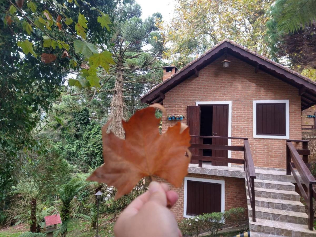 Pousada Estrela Da Serra Monte Verde  Eksteriør bilde